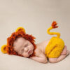 Lion Costume for Newborn